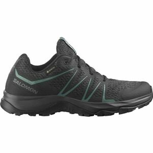 Salomon WARRA GTX W Női túracipő, fekete, méret 38 2/3 kép