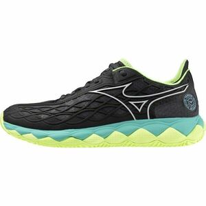 Mizuno WAVE ENFORCE TOUR CC Férfi teniszcipő, fekete, méret 44 kép