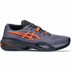 ASICS GEL-RESOLUTION X CLAY Férfi teniszcipő, szürke, méret 46.5 kép