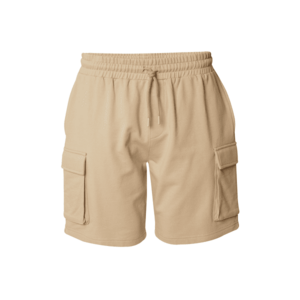 DAN FOX APPAREL Cargo nadrágok 'Jaron' bézs kép