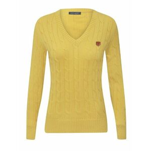 Jacey Quinn Pulóver barna / limone kép