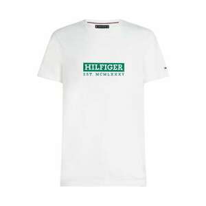 TOMMY HILFIGER Póló zöld / fehér kép