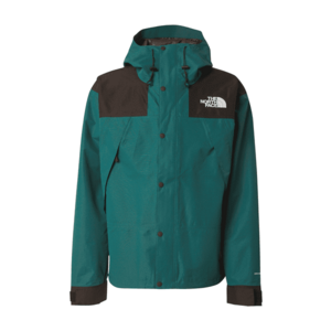 THE NORTH FACE Kültéri kabátok 'MOUNTAIN' smaragd / fekete kép