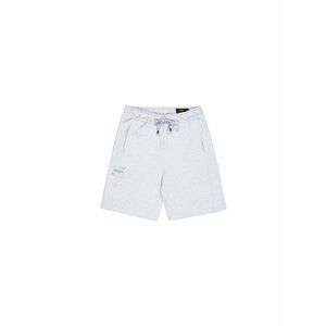 ALPHA INDUSTRIES Sportnadrágok szürke kép