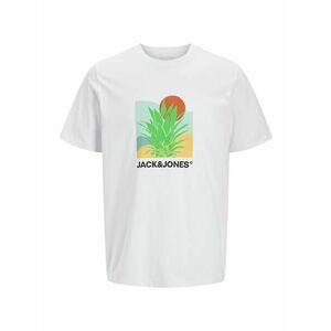 Jack & Jones Plus Póló 'JJBARBADOS' fűzöld / rozsdavörös / fehér kép
