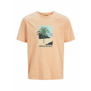Jack & Jones Plus Póló 'JJBARBADOS' világoskék / antracit / fenyő / sárgabarack kép