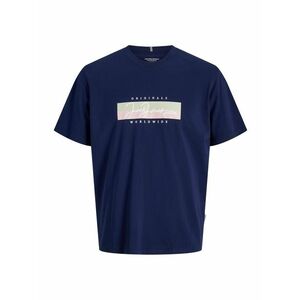 Jack & Jones Plus Póló 'JORFREDERIKSBERG' tengerészkék / pasztellzöld / rózsa / fehér kép
