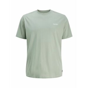 Jack & Jones Plus Póló 'JJENoa' pasztellzöld / fehér kép