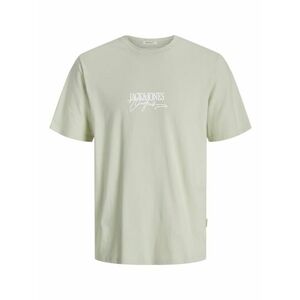 JACK & JONES Póló 'JORALMERIA' pasztellzöld / fehér kép