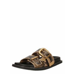 STEVE MADDEN Papucs 'Arch-E' barna / világosbarna / fekete kép