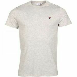 Pólók / Galléros Pólók Fila SEAMUS B13 - LIGHT GREY MELANGE 682393 kép