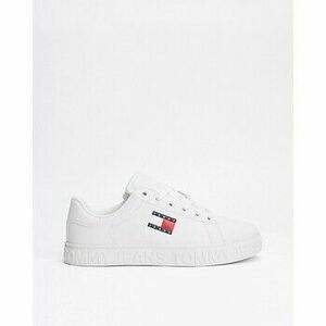Divat edzőcipők Tommy Hilfiger EN0EN02703 kép