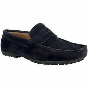 Mokkaszínek Pierre Cardin SERRAJE MARINO 312 80618 kép