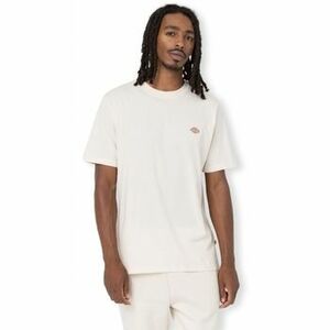 Pólók / Galléros Pólók Dickies Mapleton T-Shirt - Whitecap Grey kép
