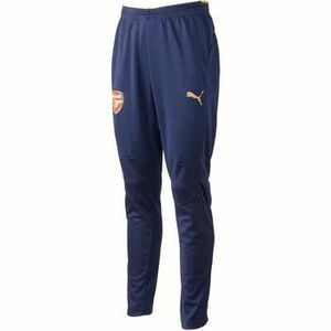 Melegítő együttesek Puma AFC TRAINING PANTS 02 BLACK IRIS/VICTORY GOL 747612 kép