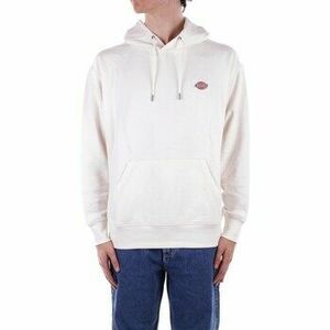Pulóverek Dickies DK0A4YLY kép