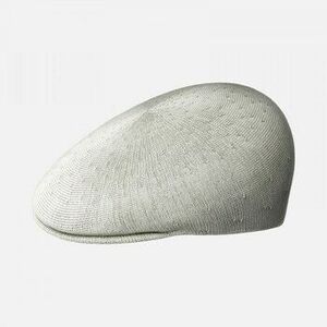 Baseball sapkák Kangol Seamless tropic 507 kép