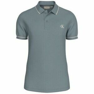Rövid ujjú pólók Calvin Klein Jeans J30J315603 kép