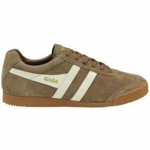 Oxford cipők Gola HARRIER SUEDE FW-TOBACCO/OFF WHITE CMA192 kép