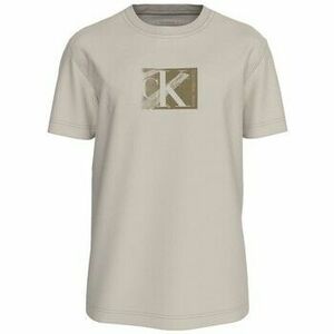 Rövid ujjú pólók Calvin Klein Jeans J30J327077 kép