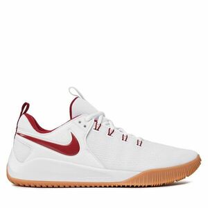 Nike férfi beltéri cipő kép