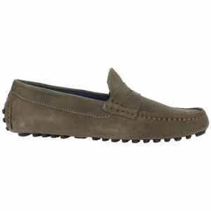Alsóváros Azzaro SOL 1B-TAUPE RC121 kép