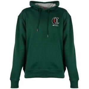 Pulóverek Champion HOODIE FOREST PEAK AEXN-GREEN GF89H kép