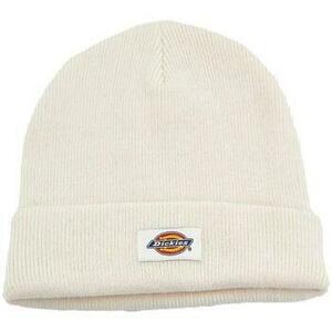 Baseball sapkák Dickies GIBSLAND BEANIE kép