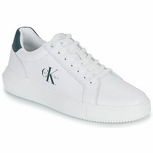 Rövid szárú edzőcipők Calvin Klein Jeans CHUNKY CUPSOLE MONO LTH kép