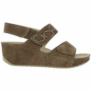 Szandálok / Saruk Scholl ABERDEEN WEDGE Taupe F31270 kép