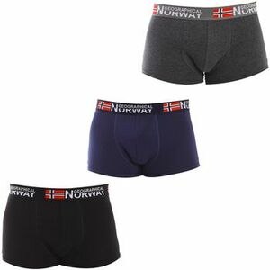 Boxerek Geographical Norway GN1000-004 kép