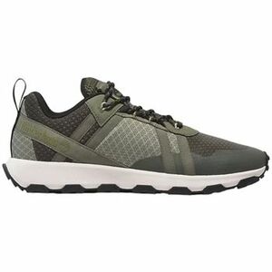Oxford cipők Timberland WINSOR TRAIL LOW LACE UP kép