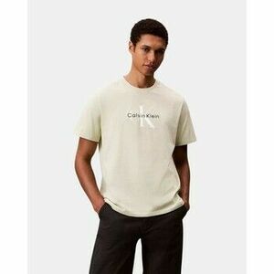 Rövid ujjú pólók Calvin Klein Jeans LV04RB862G kép