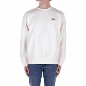 Pulóverek Dickies DK0A4YLZ kép