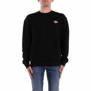 Pulóverek Dickies DK0A4YLZ kép