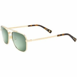 Napszemüvegek Polar Occhiali da Sole Gold Hayden-02G Polarizzati kép