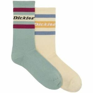 Kiegészítők Dickies GENOLA ICEBERG GREEN kép