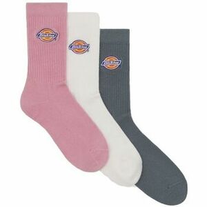 Kiegészítők Dickies VALLEY GROVE LILAS kép