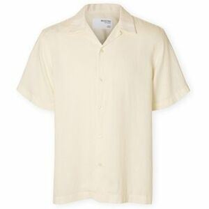 Hosszú ujjú ingek Selected Noos Regnoa Shirt - Egret kép