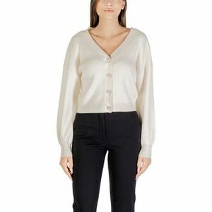 Mellények / Kardigánok Guess LS VN HANNA CARDI SWTR W5YR07 Z2ZK2 kép