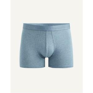 Binormal boxer kép