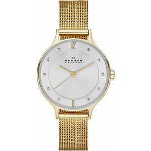 Skagen Skagen Anita SKW2150 kép