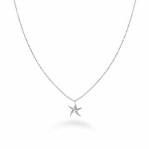 Rosefield Rosefield Arcél karkötő tengeri csillaggal Essentials JNSNS-J831 kép