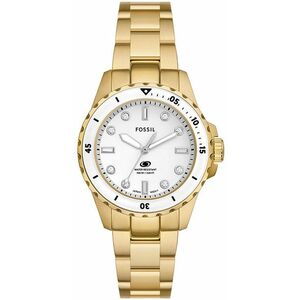 Fossil Fossil Blue ES5350 kép