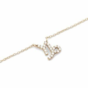 Daniel Wellington Daniel Wellington Időtlen aranyozott nyaklánc Bak Crystal Zodiac DW00400928 kép