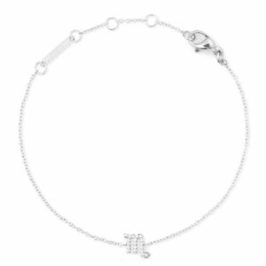 Daniel Wellington Daniel Wellington Acél lánc karkötő Skorpió Crystal Zodiac DW00400938 kép