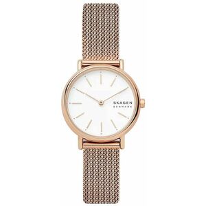 Skagen Skagen Signatur SKW2694 kép