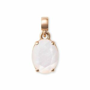 Daniel Wellington Daniel Wellington Gyönyörű bronz medál gyöngyházzal Mother of Pearl DW00401460 kép