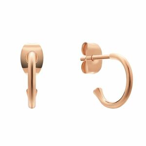 Daniel Wellington Daniel Wellington Aranyozott karika fülbevaló Charms DW00400767 kép