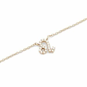 Daniel Wellington Daniel Wellington Stílusos aranyozott nyaklánc Oroszlán Crystal Zodiac DW00400923 kép